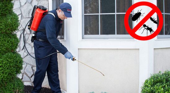 Çiğli Hamam Böceği İlaçlama böcek ilaçlama ve haşere kontrolü — ilaclama-tr.com